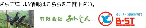 有限会社あんじん